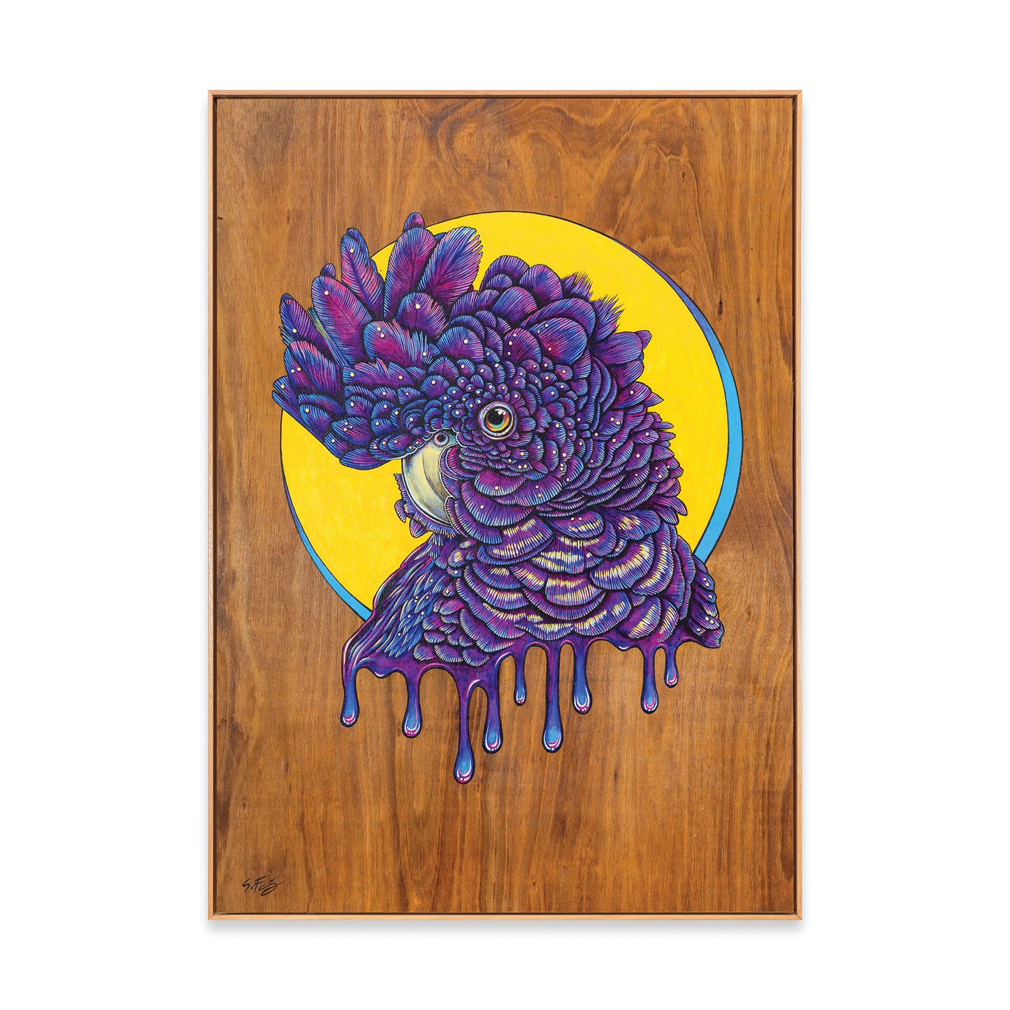 - Black-ish Cockatoo - Fine Art Print