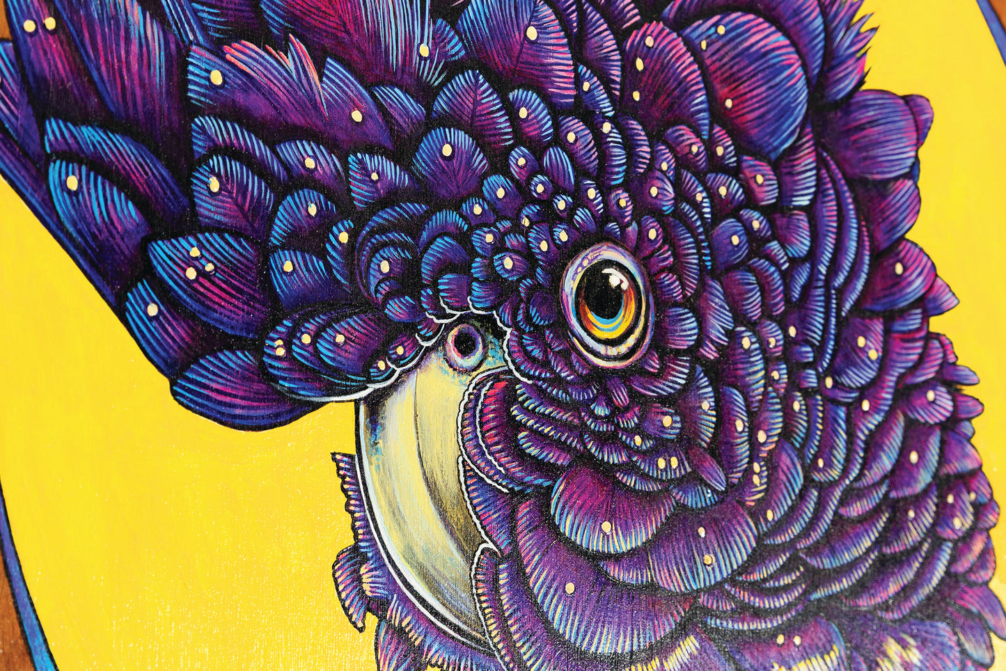 Fine art print close up of a vibrant acrylic illustration on plywood of a Native Australian Black Cockatoo bird, painted by artist Skotty Fairclough