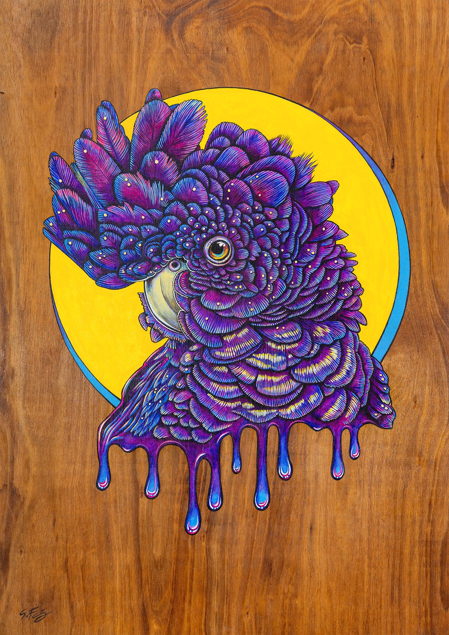 Canvas print of a vibrant acrylic illustration on plywood of a Native Australian Black Cockatoo bird, painted by artist Skotty Fairclough