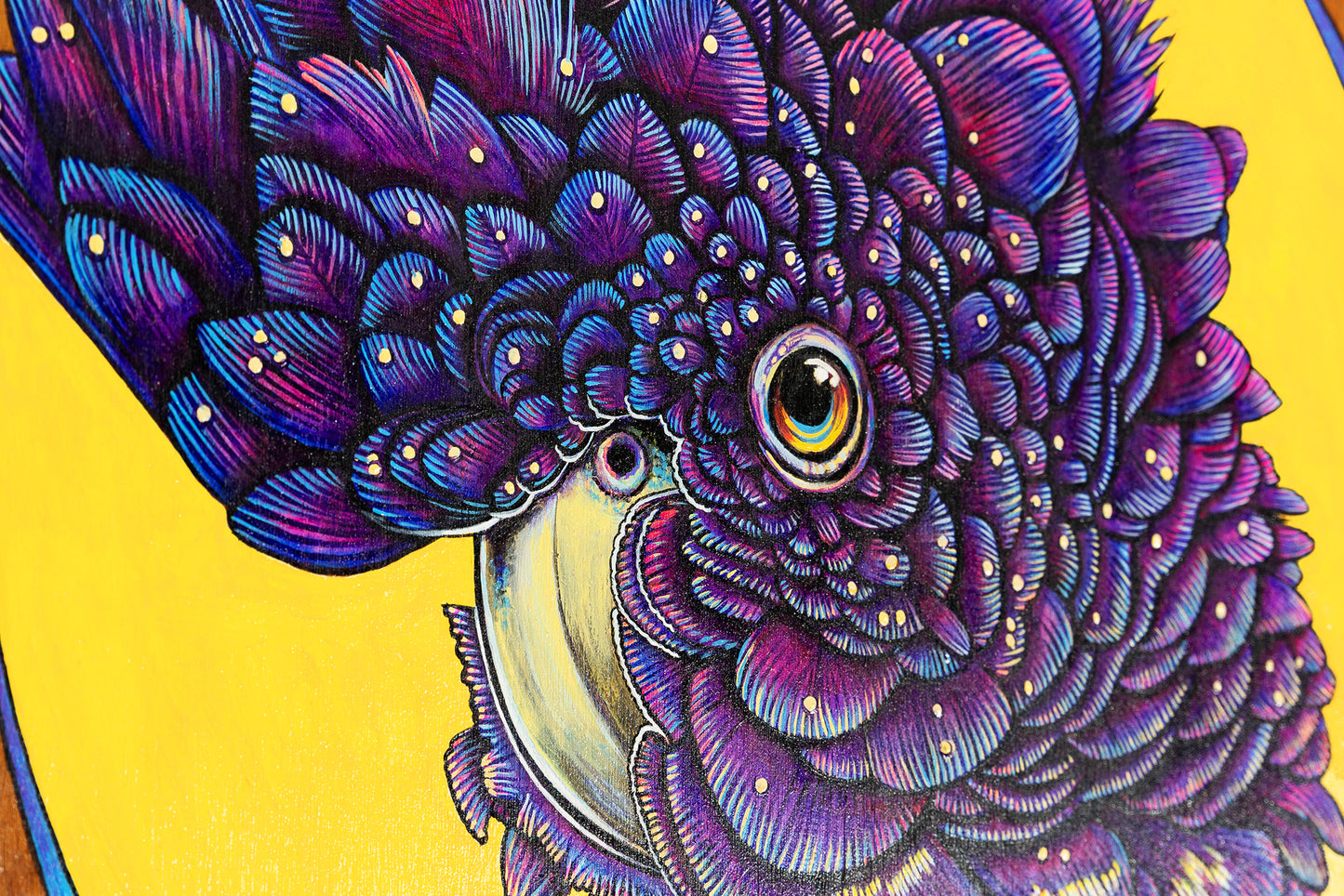 Close up of Vibrant acrylic illustration on plywood of a Native Australian Black Cockatoo bird, painted by artist Skotty Fairclough.