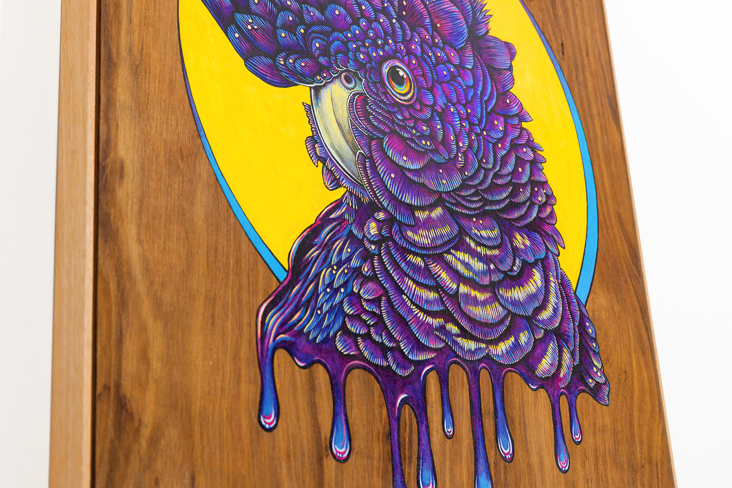 Close up of Vibrant acrylic illustration on plywood of a Native Australian Black Cockatoo bird, painted by artist Skotty Fairclough.