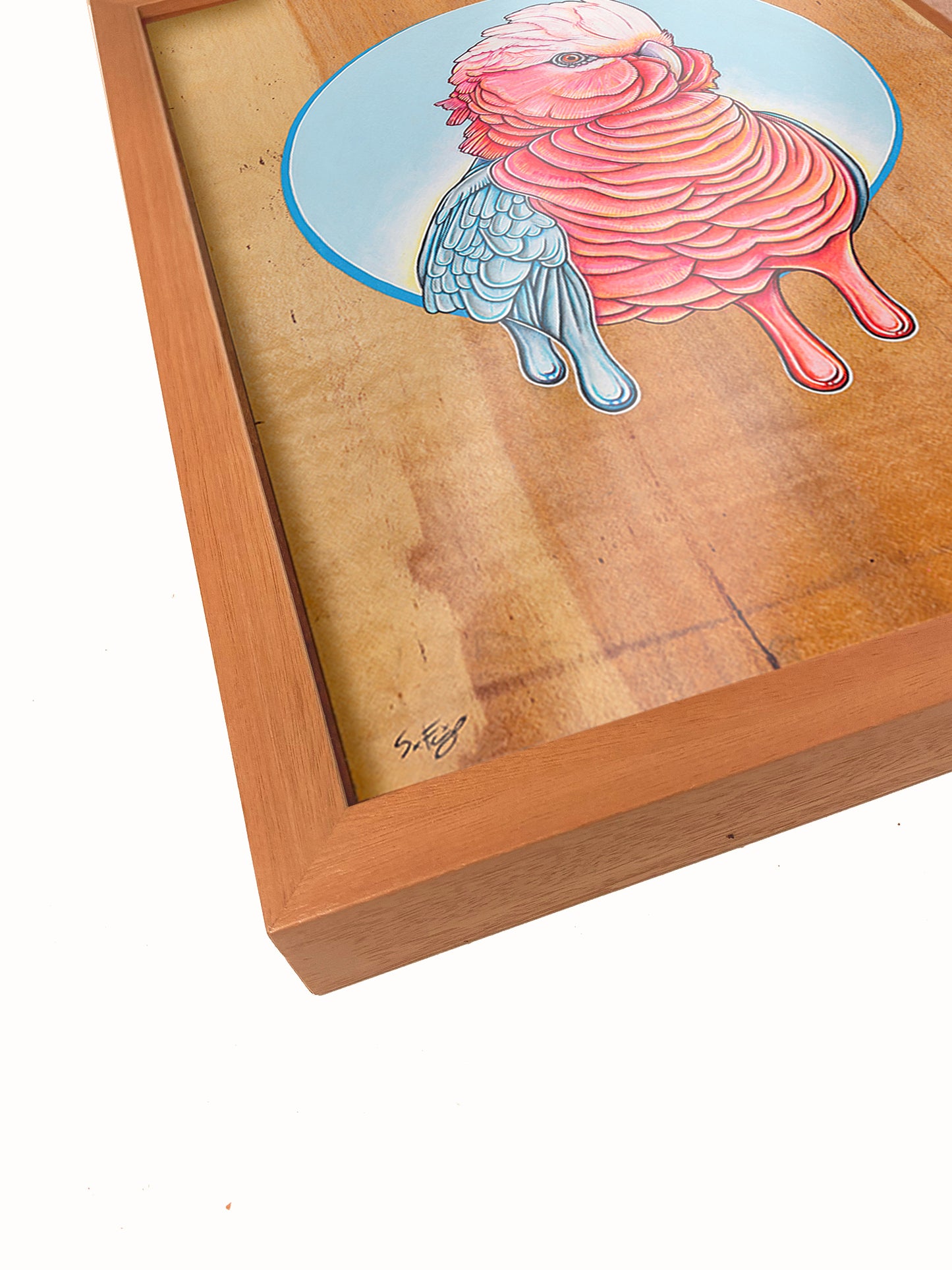 Neon Galah - Premium Framed Fine Art Print