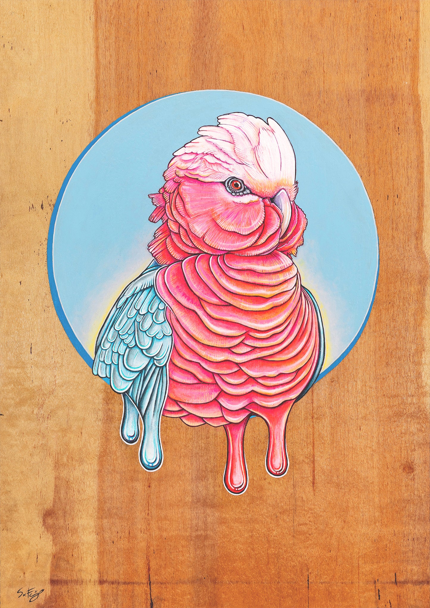 Canvas print of a vibrant acrylic illustration on plywood of a native Australian Galah bird by Skotty Fairclough