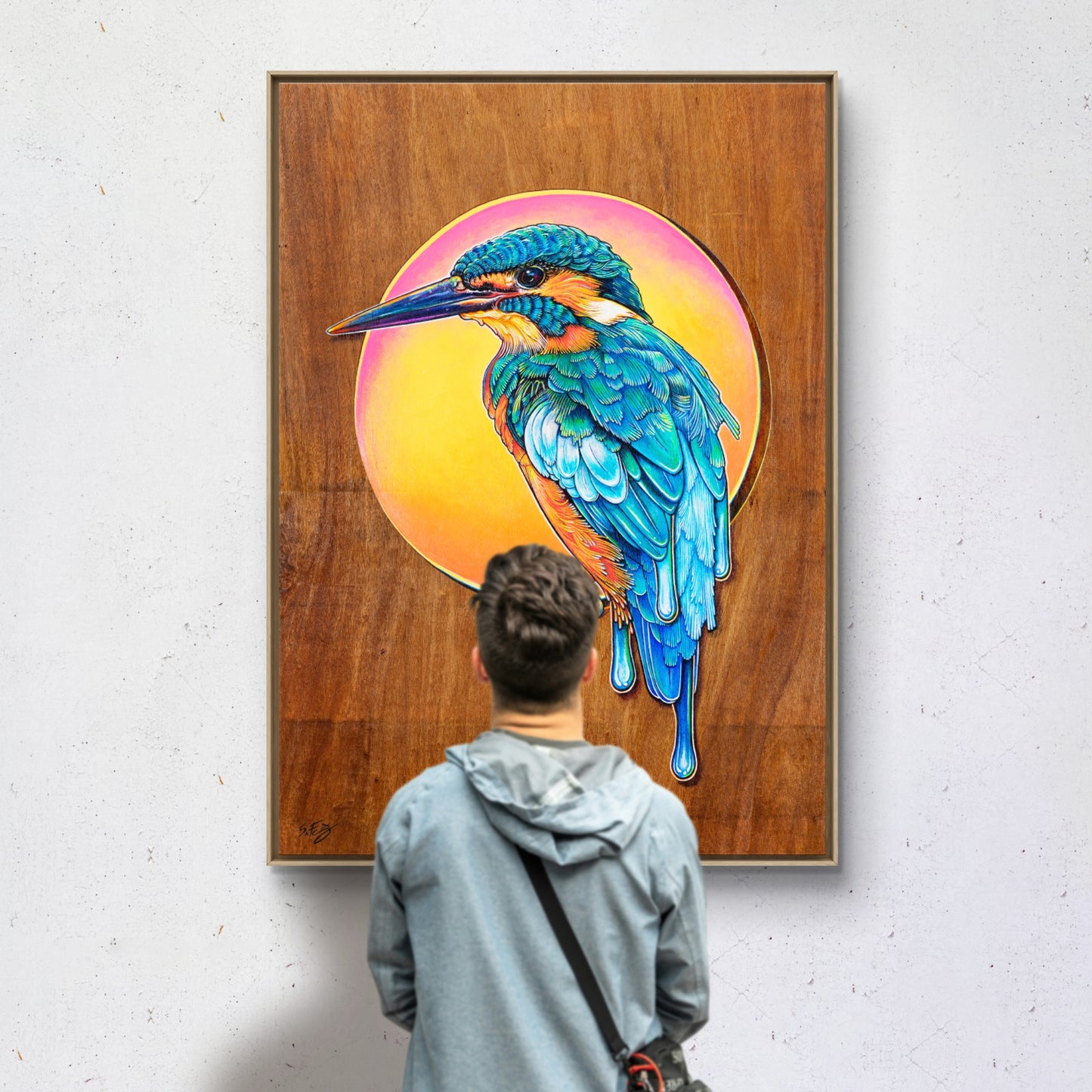 Colourful acrylic illustration on plywood of a Kingfisher by Australian artist Skotty Fairclough hanging in a gallery.