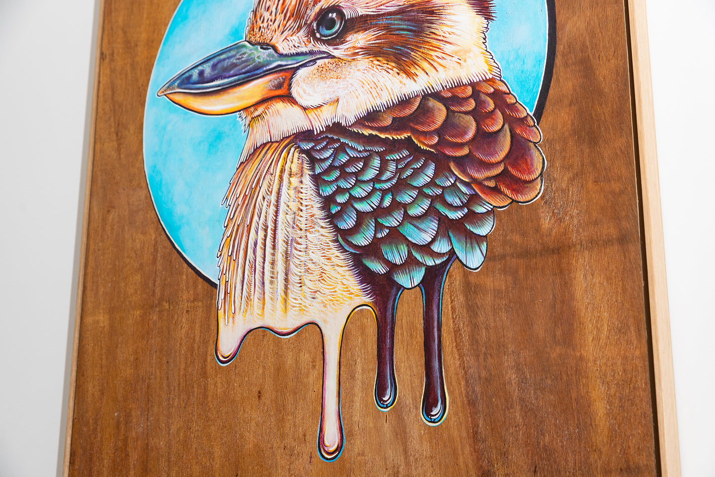 Close up of a Colourful acrylic illustration on plywood of a native Australian Kookaburra bird by Skotty Fairclough.