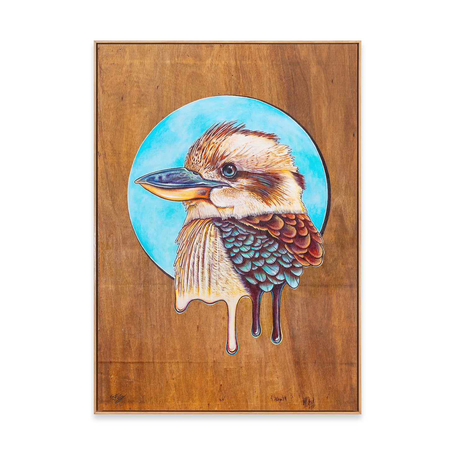 Fine art print of a colorful acrylic illustration on plywood of a native Australian Kookaburra bird by Skotty Fairclough