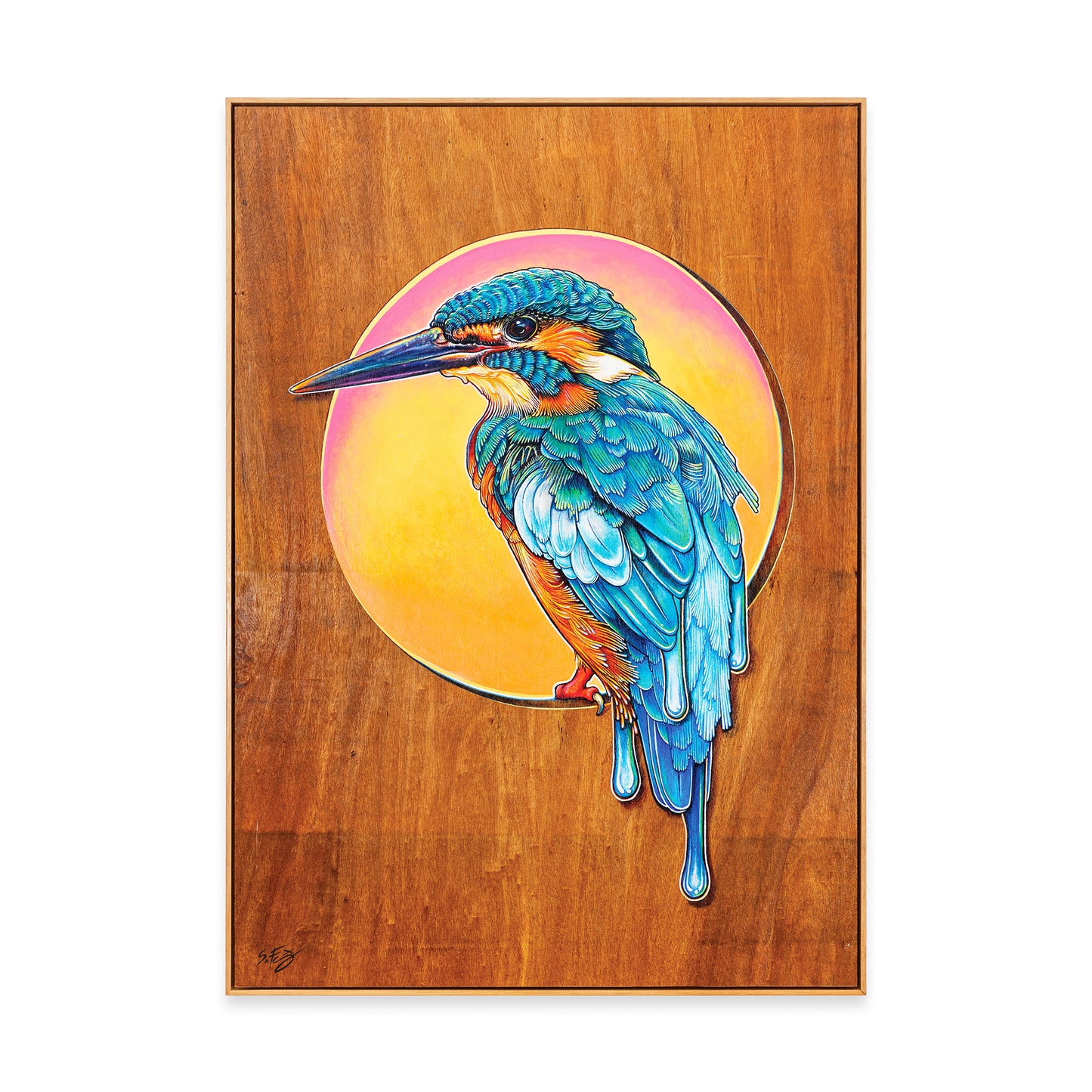 Colourful acrylic illustration on plywood of a Kingfisher by Australian artist Skotty Fairclough