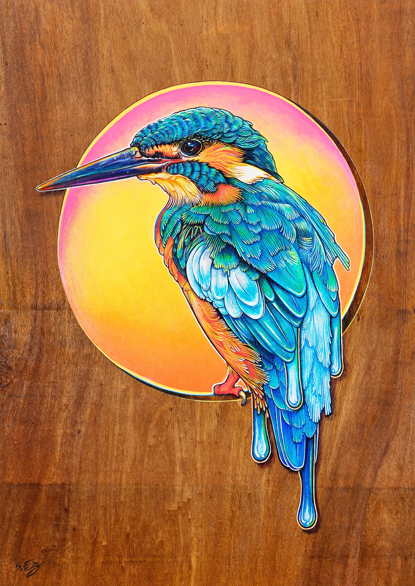 Colourful acrylic illustration on plywood of a Kingfisher by Australian artist Skotty Fairclough