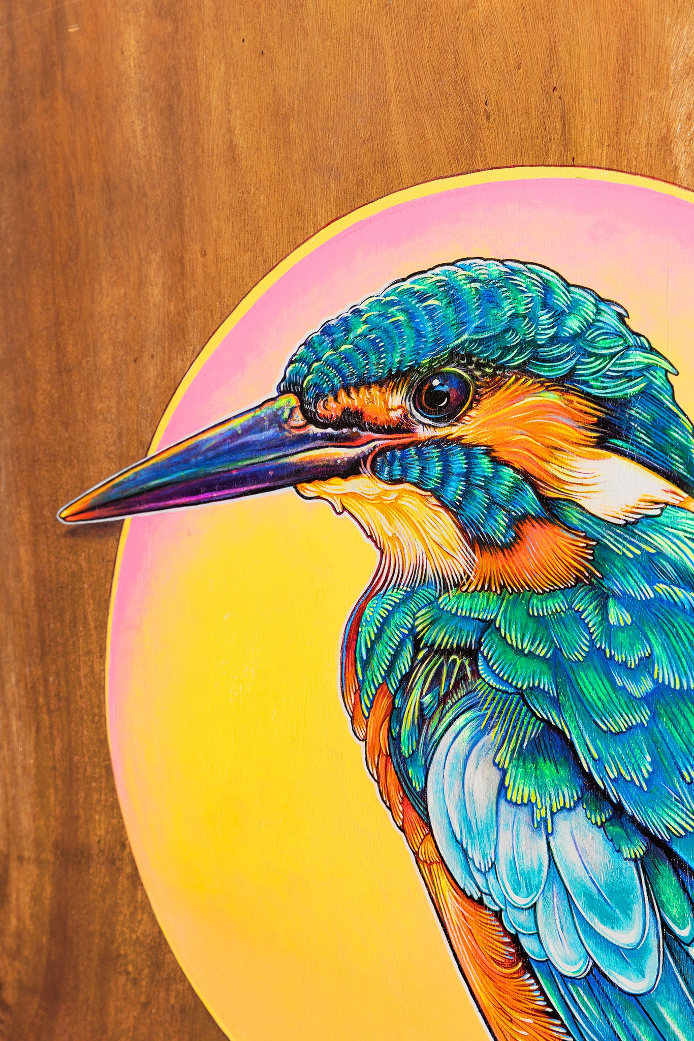 Close up of a colourful acrylic illustration on plywood of a Kingfisher by Australian artist Skotty Fairclough