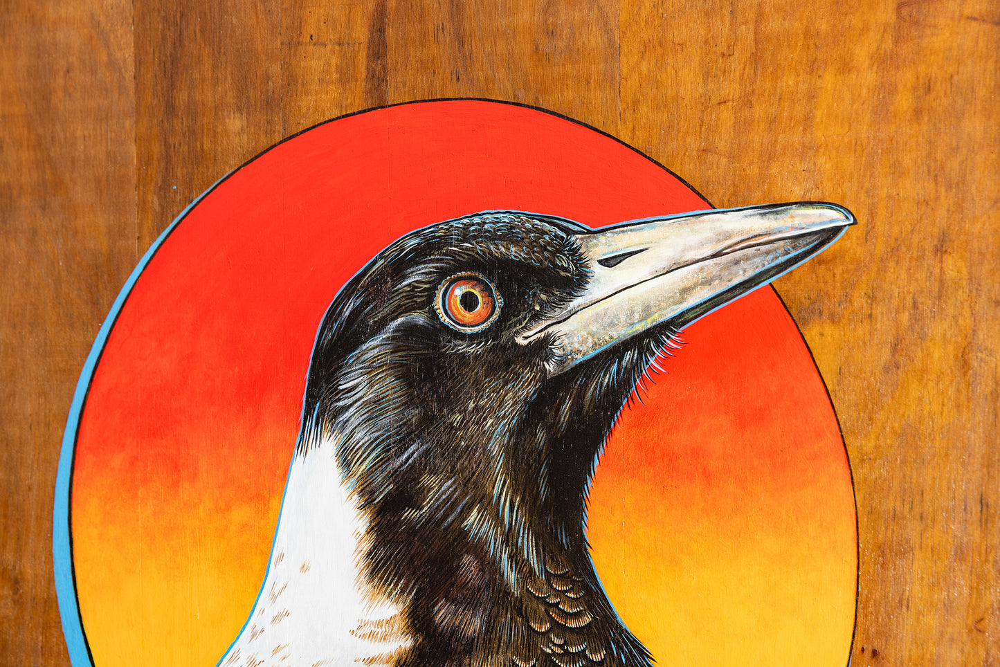 Fine art print close up of a detailed acrylic illustration on plywood of an Australian Native Magpie bird by Skotty Fairclough