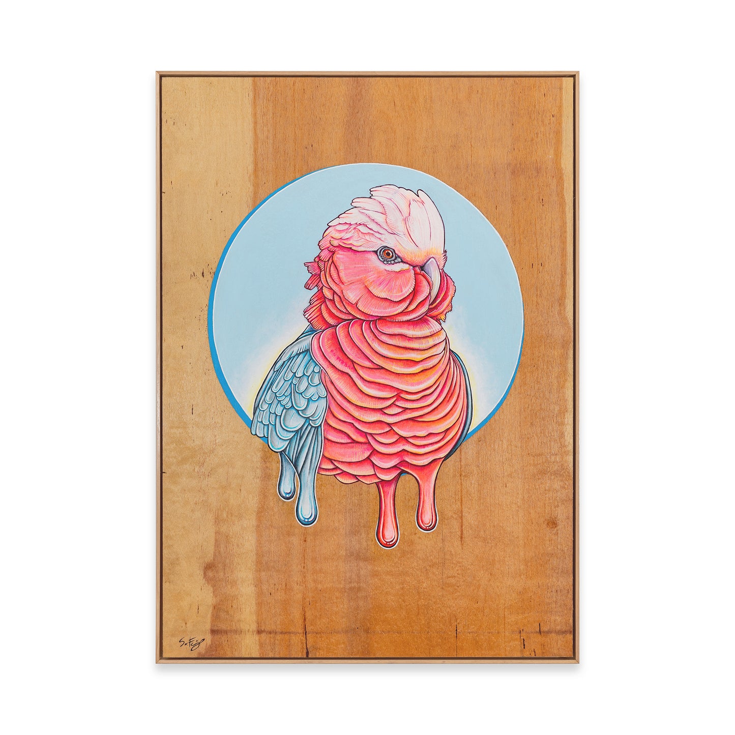 Fine art print of a vibrant acrylic illustration on plywood of a native Australian Galah bird by Skotty Fairclough