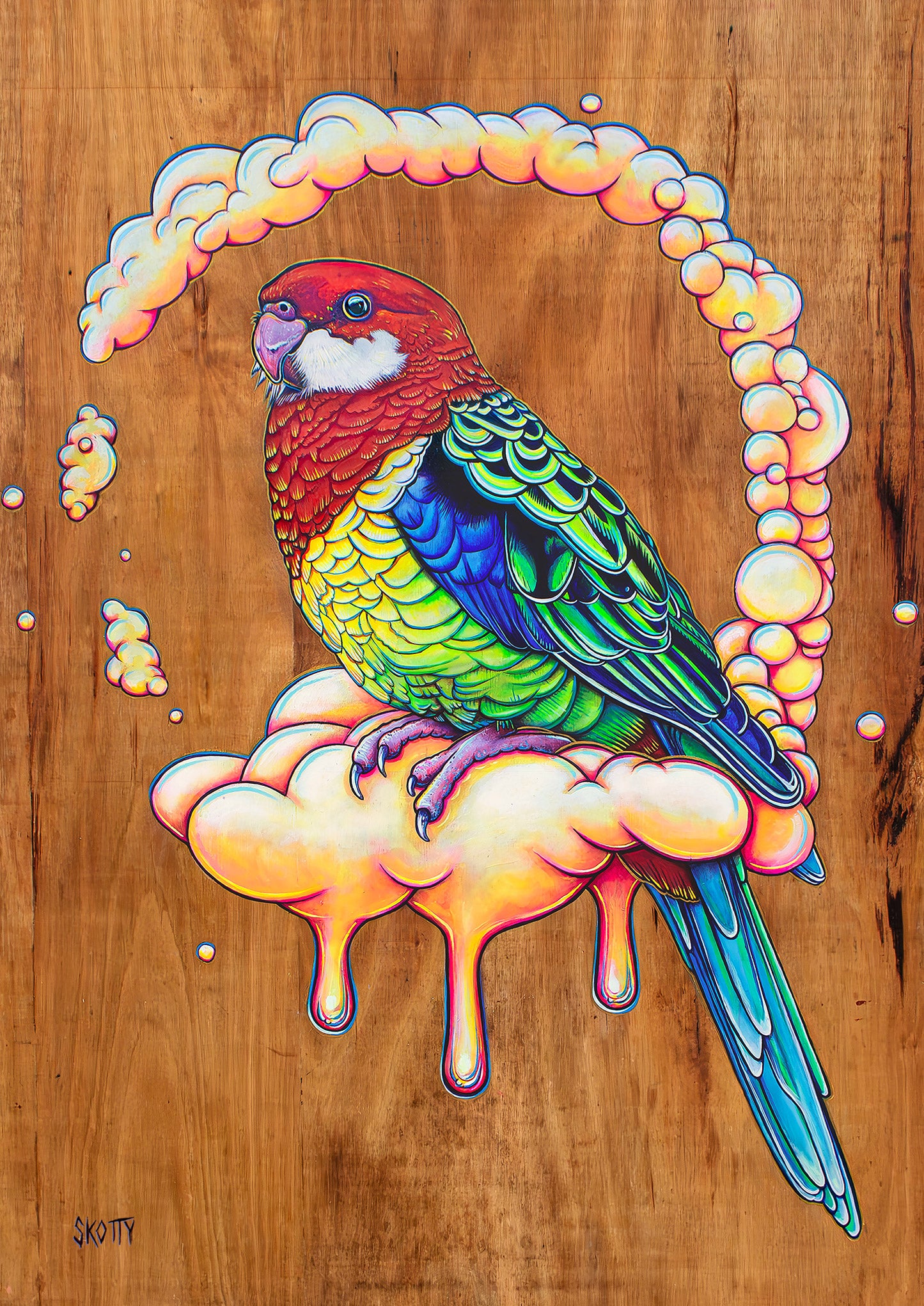 Eastern Rosella,
