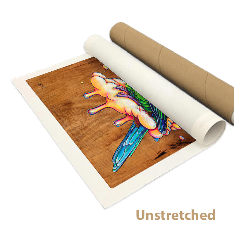 Pretty Bird - Canvas Print