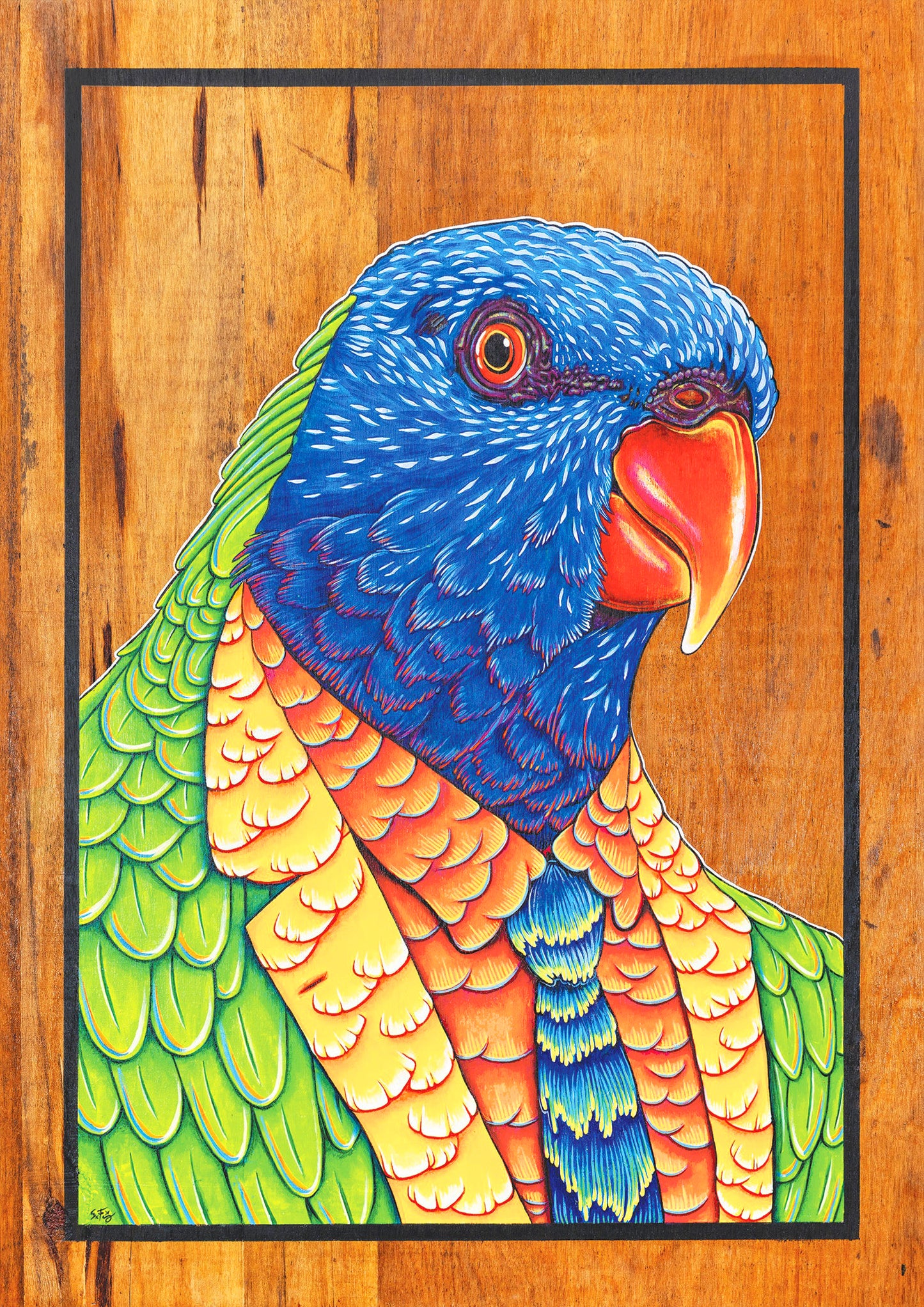 Fine art print of a cheerful acrylic illustration on plywood of a native Australian Rainbow Lorikeet by Skotty Fairclough