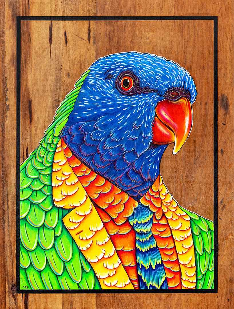 Cheerful acrylic illustration on plywood of a native Australian Rainbow Lorikeet by Skotty Fairclough
