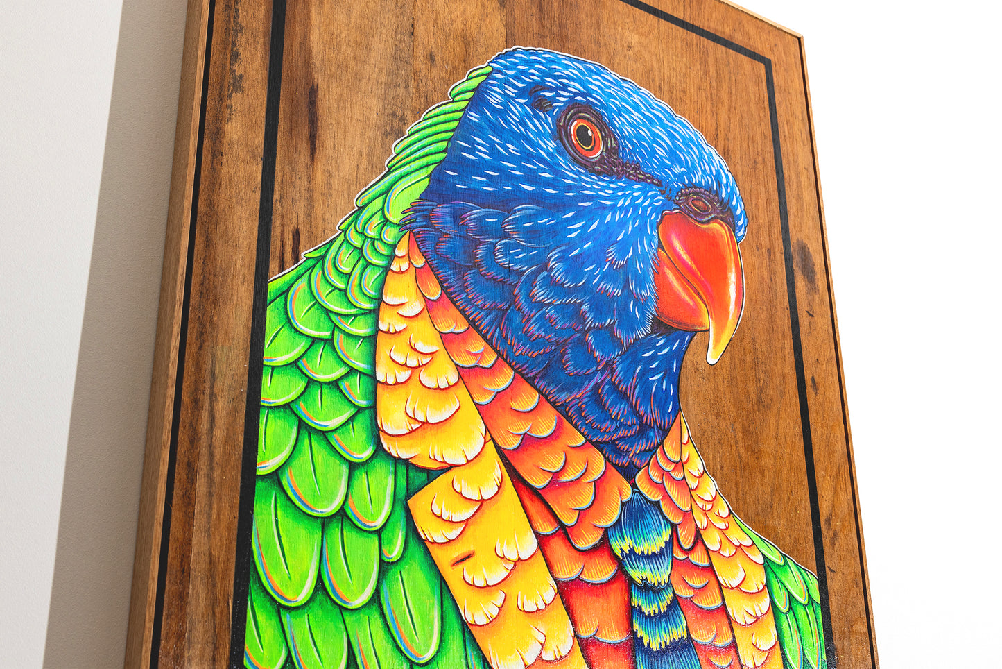 close up of, Cheerful acrylic illustration on plywood of a native Australian Rainbow Lorikeet by Skotty Fairclough