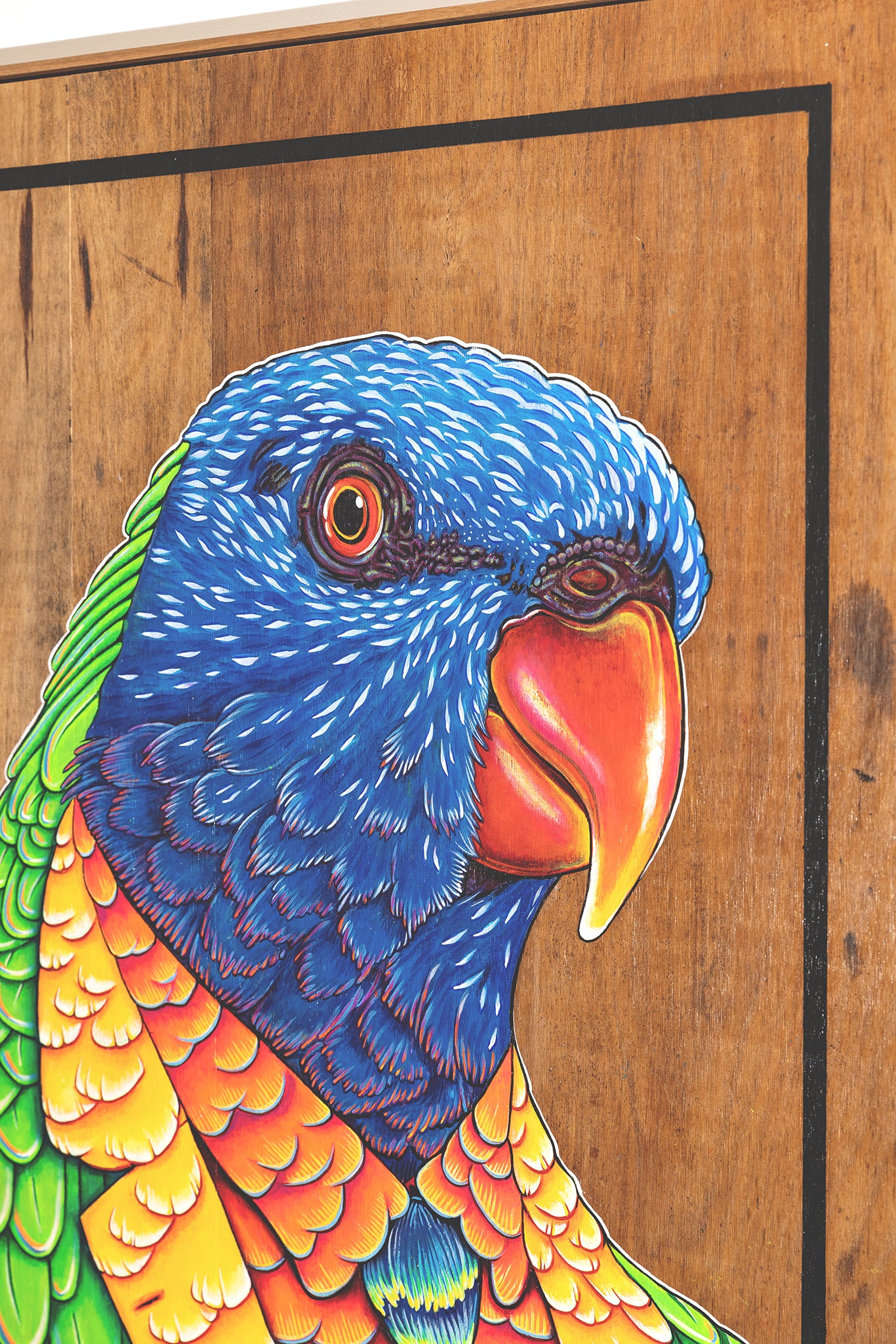 Fine art print close up of a cheerful acrylic illustration on plywood of a native Australian Rainbow Lorikeet by Skotty Fairclough