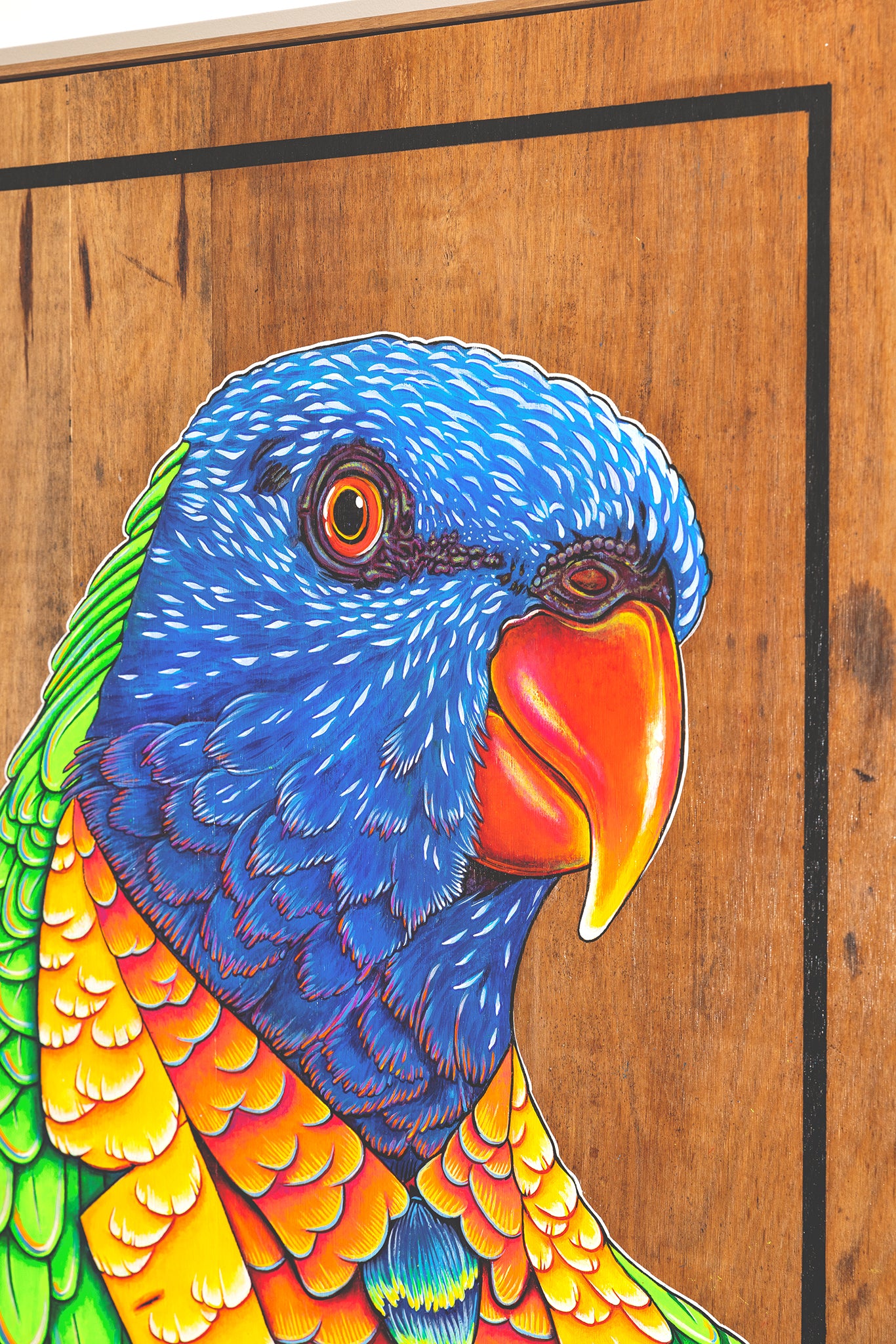 Close up of a cheerful acrylic illustration on plywood of a native Australian Rainbow Lorikeet by Skotty Fairclough