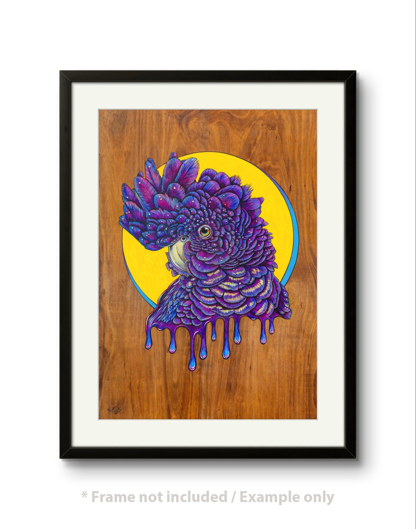 Framed fine art print of a vibrant acrylic illustration on plywood of a Native Australian Black Cockatoo bird, painted by artist Skotty Fairclough