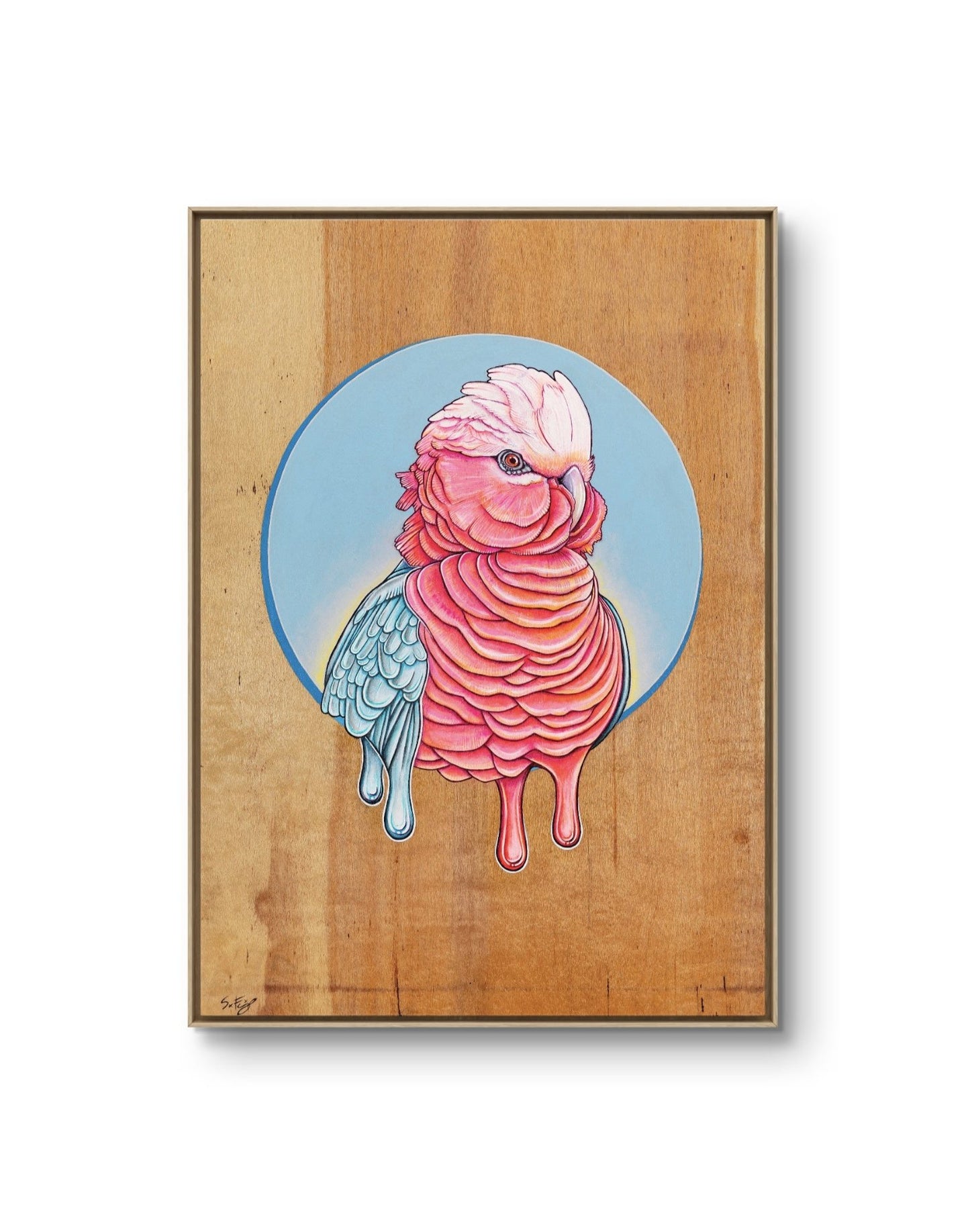 Neon Galah - Canvas Print