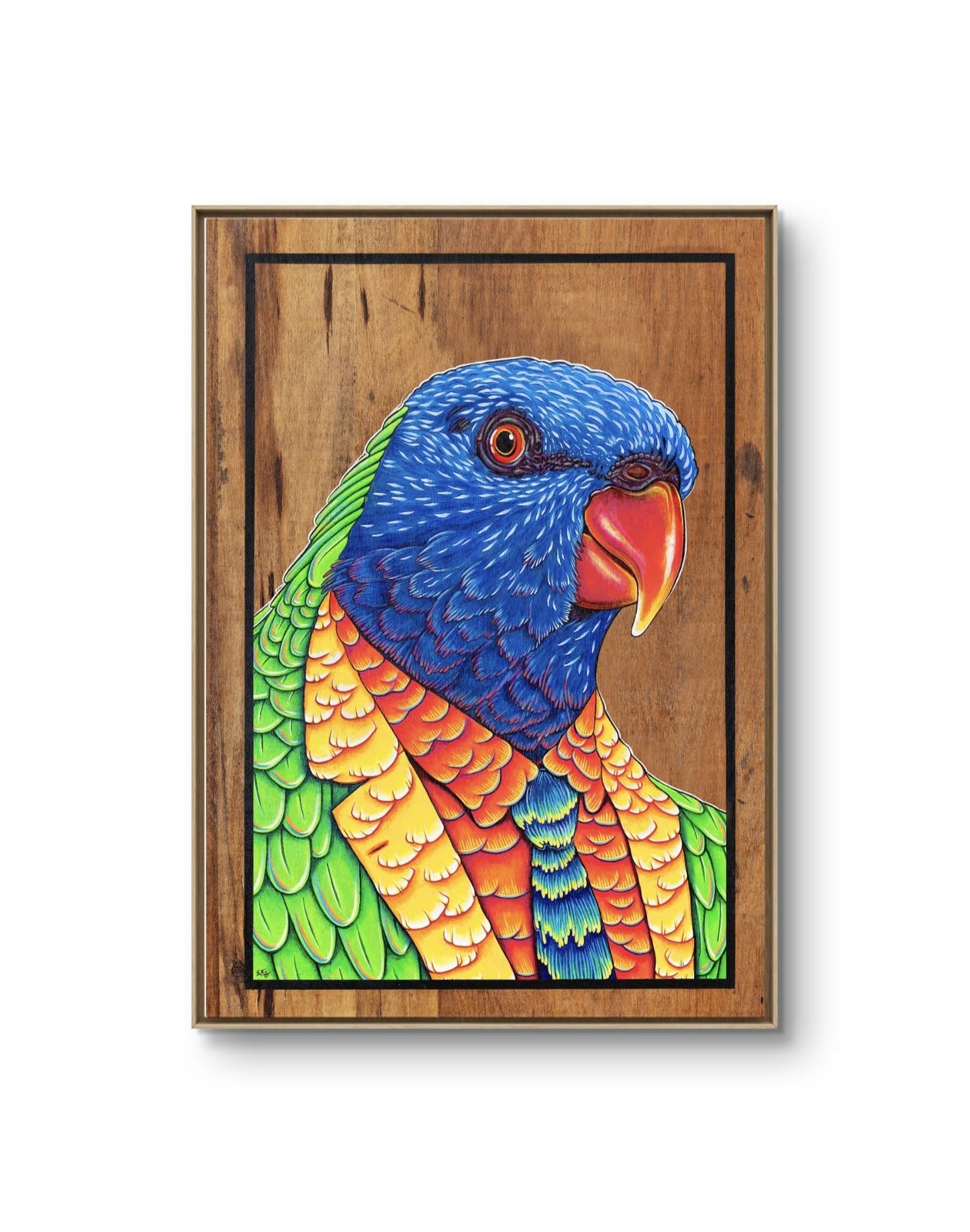 Sir Lorikeet IV - Canvas Print