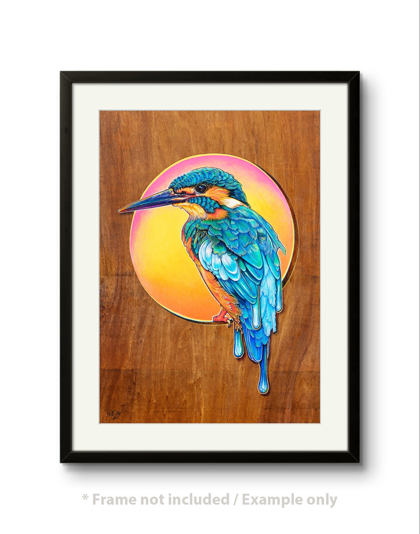 Framed Fine art print of a colourful acrylic illustration on plywood of a Kingfisher by Australian artist Skotty Fairclough