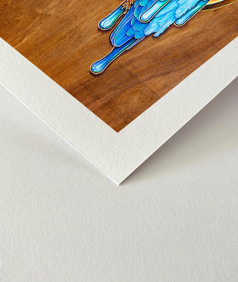 CLose up Fine art print of a colourful acrylic illustration on plywood of a Kingfisher by Australian artist Skotty Fairclough
