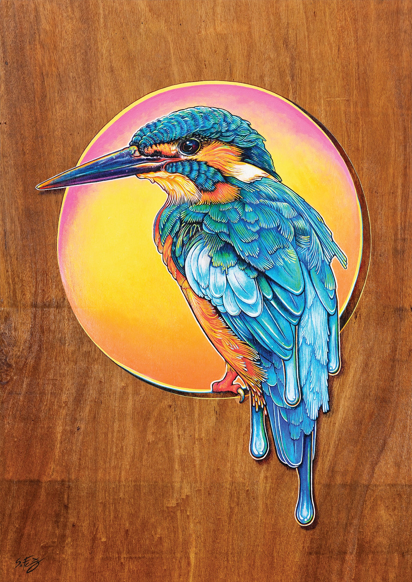 Fine art print of a colourful acrylic illustration on plywood of a Kingfisher by Australian artist Skotty Fairclough