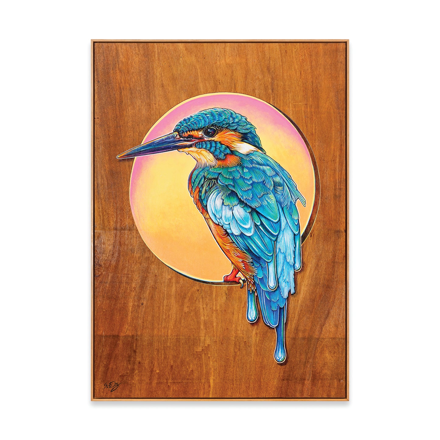 Fine art print of a colourful acrylic illustration on plywood of a Kingfisher by Australian artist Skotty Fairclough