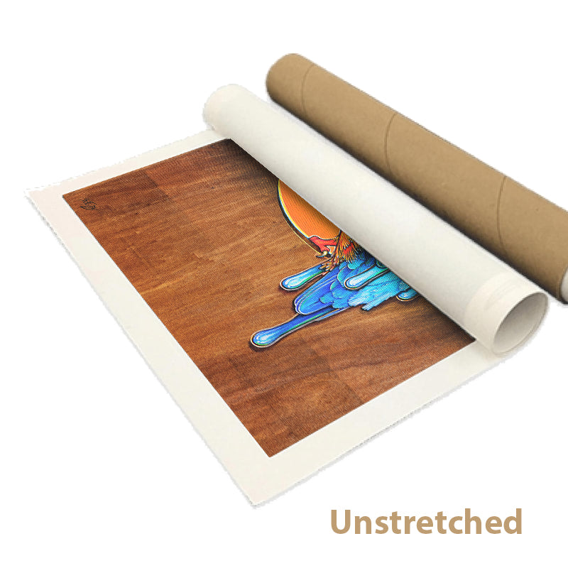 Rolled Canvas print of a colourful acrylic illustration on plywood of a Kingfisher by Australian artist Skotty Fairclough