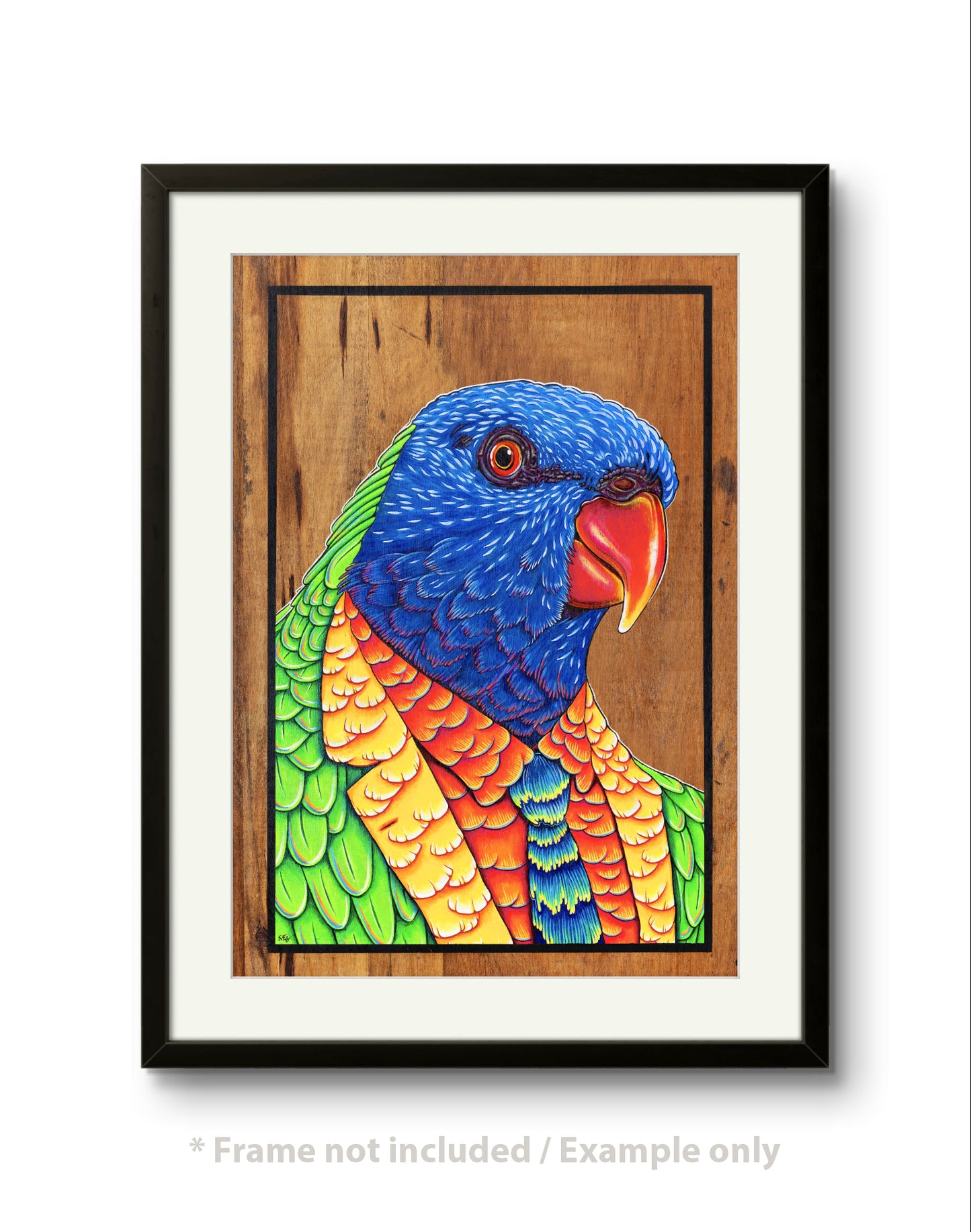 Framed Fine art print of a cheerful acrylic illustration on plywood of a native Australian Rainbow Lorikeet by Skotty Fairclough