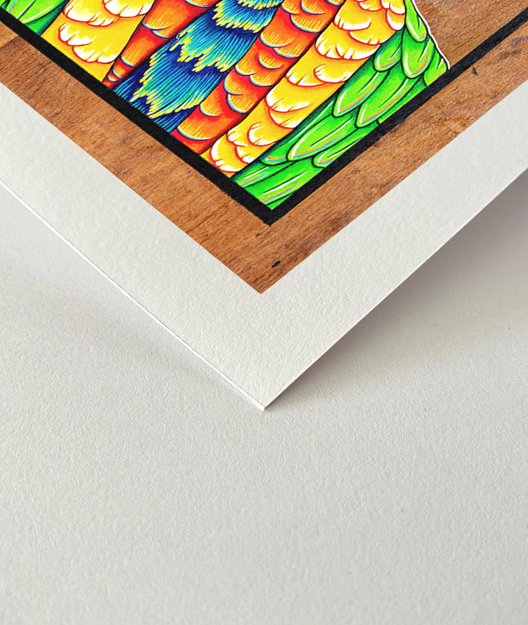 Fine art print close up of a cheerful acrylic illustration on plywood of a native Australian Rainbow Lorikeet by Skotty Fairclough