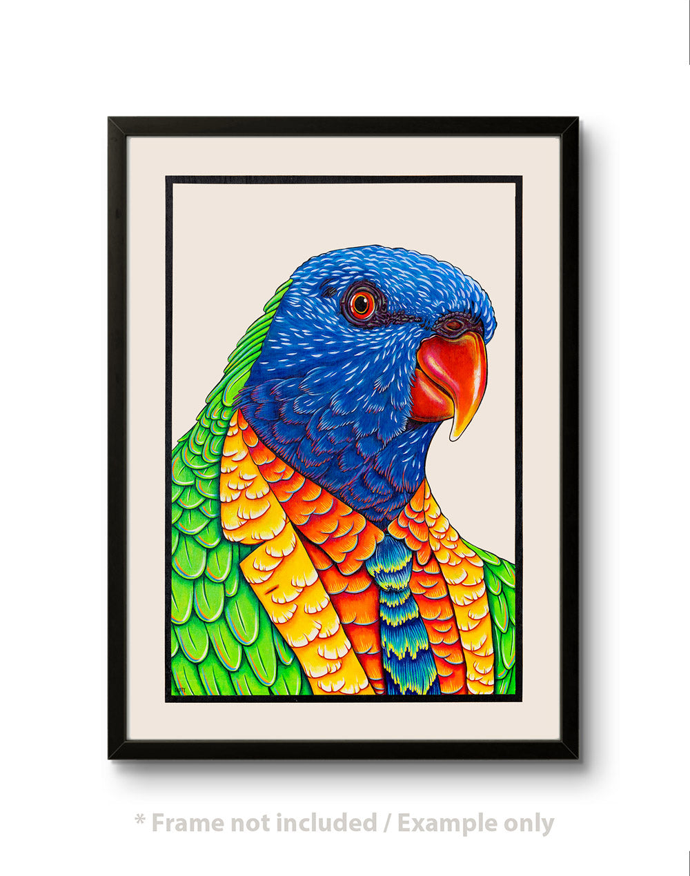 Off-White - Sir Lorikeet - Fine Art Print