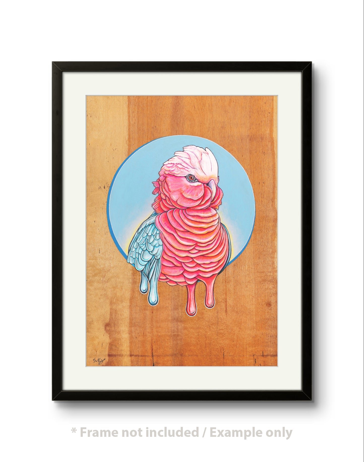Framed Fine art print of a vibrant acrylic illustration on plywood of a native Australian Galah bird by Skotty Fairclough
