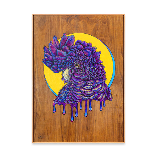 Vibrant acrylic illustration on plywood of a Native Australian Black Cockatoo bird, painted by artist Skotty Fairclough.