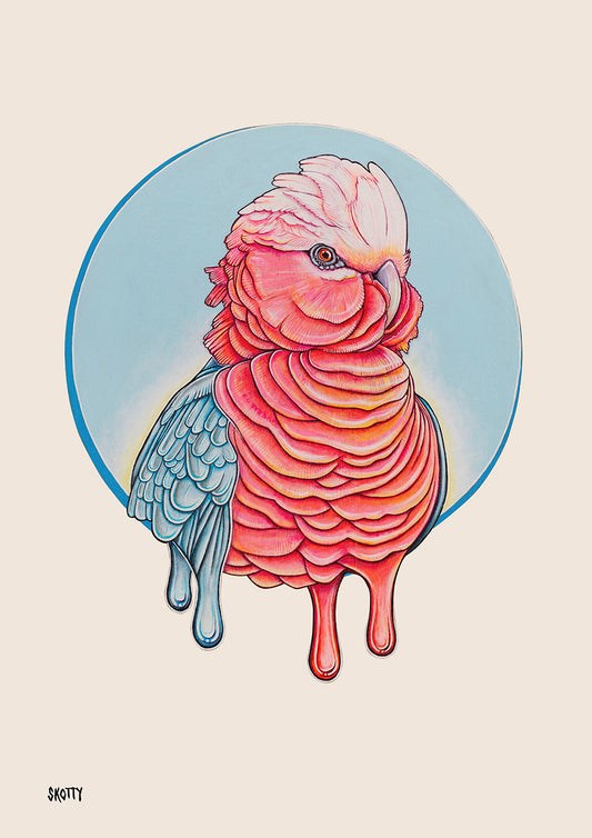 Off-White - Neon Galah - Fine Art Print