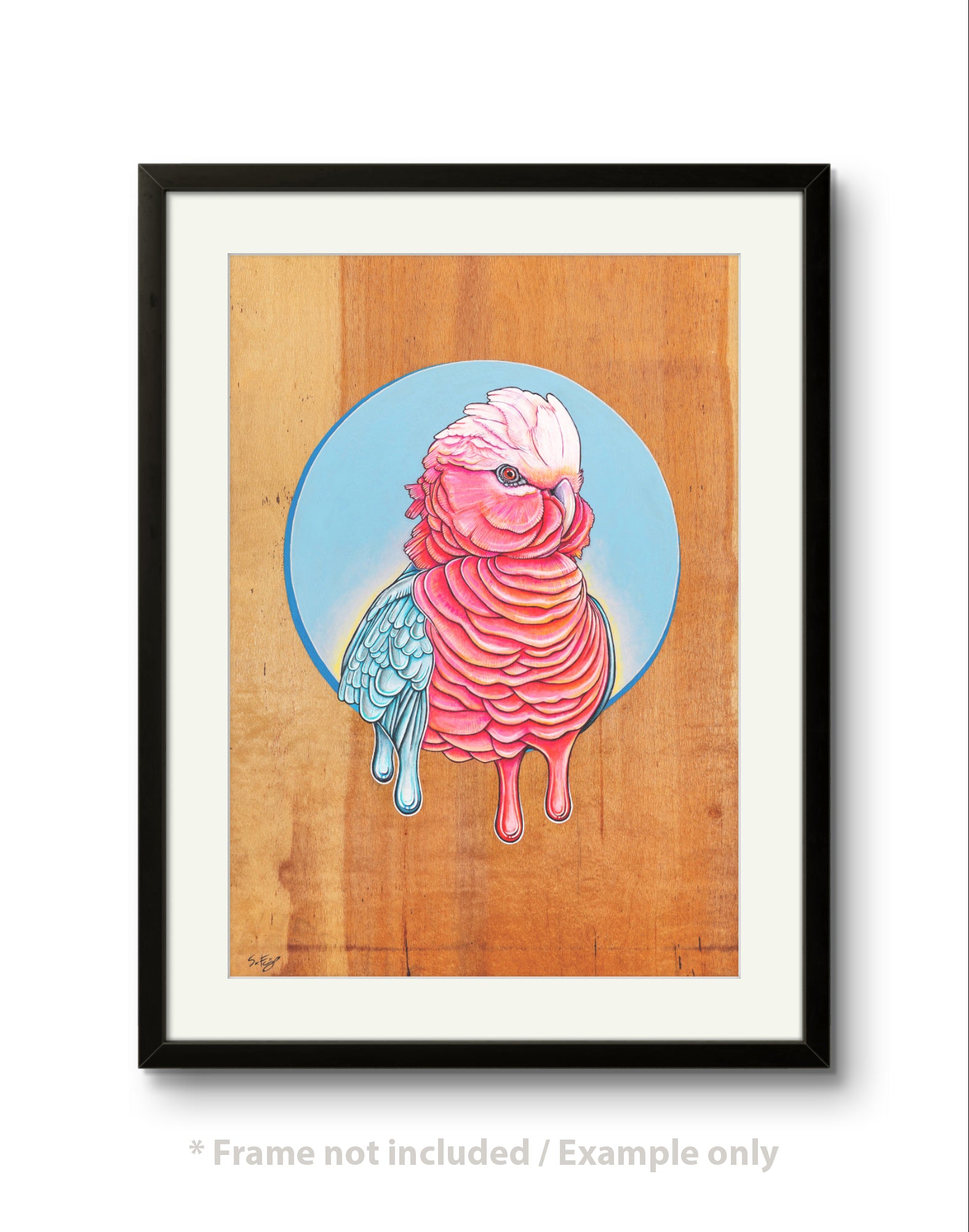 Framed Fine art print of a vibrant acrylic illustration on plywood of a native Australian Galah bird by Skotty Fairclough