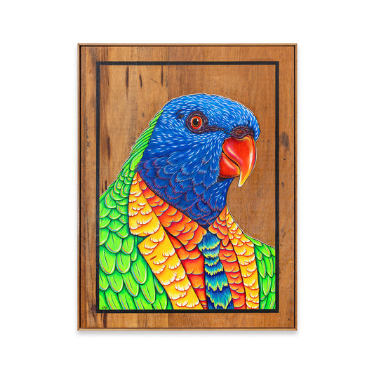 Cheerful acrylic illustration on plywood of a native Australian Rainbow Lorikeet by Skotty Fairclough